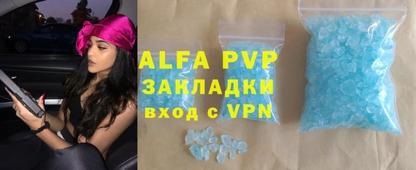 стафф Инта