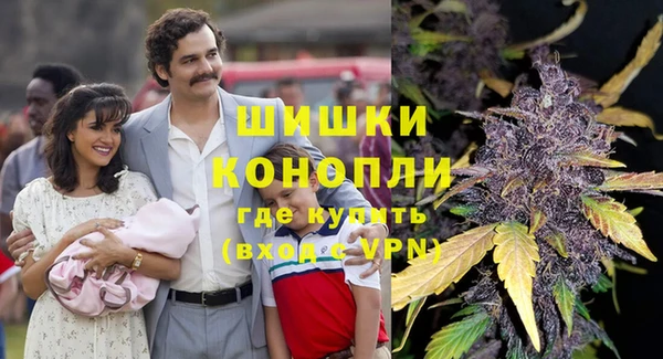 стафф Инта