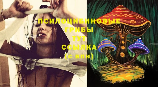 дурь Каменка