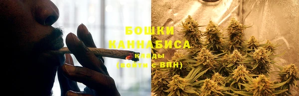стафф Инта