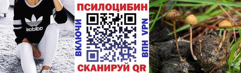 Галлюциногенные грибы Cubensis  Купить  Верхняя Тура 